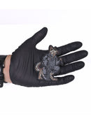 EDC Line Patch - Shepherd Dog